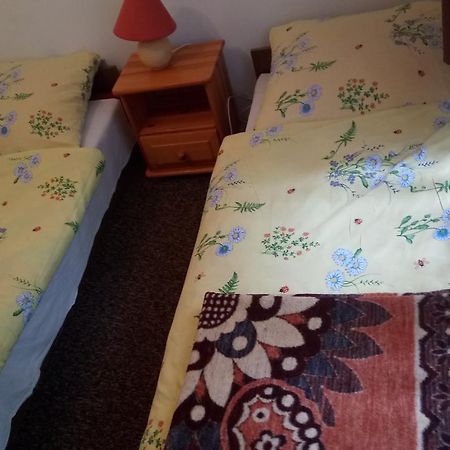 Hostel Dworek Osiecki Koral Osieki  外观 照片