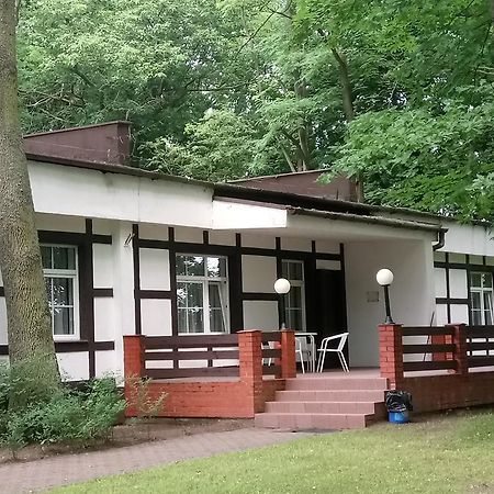 Hostel Dworek Osiecki Koral Osieki  外观 照片