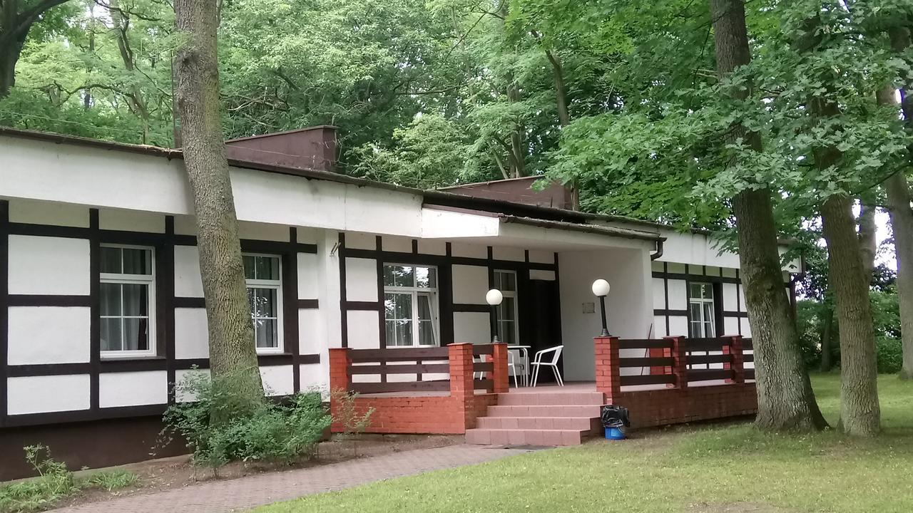 Hostel Dworek Osiecki Koral Osieki  外观 照片